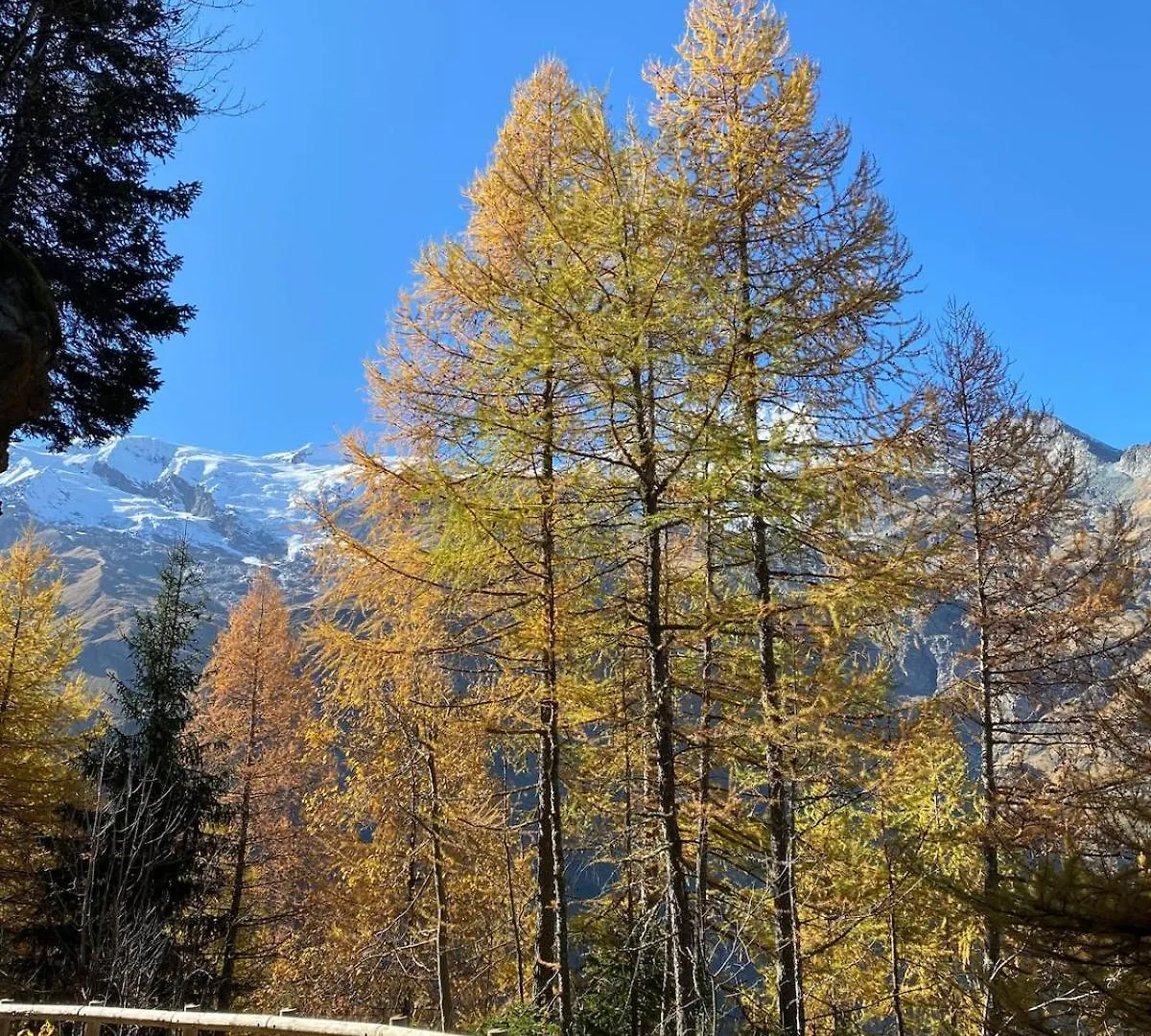 Le Franier Splendide Chalet En Montagne - 12Pers Sainte-Foy-Tarentaise